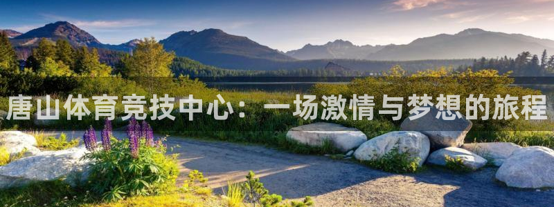 yy易游官网下载平台:唐山体育竞技中心:一场激情与梦想的旅程